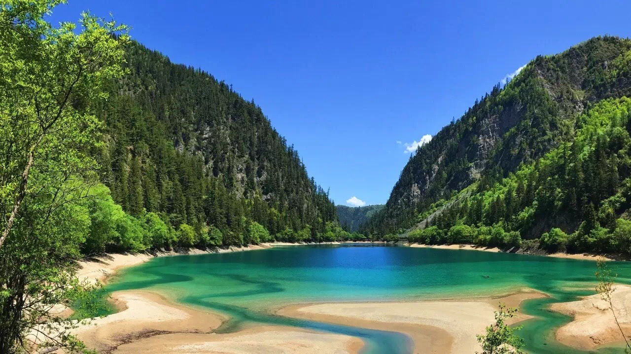九寨沟景区|浅夏嫣然,淡而生香