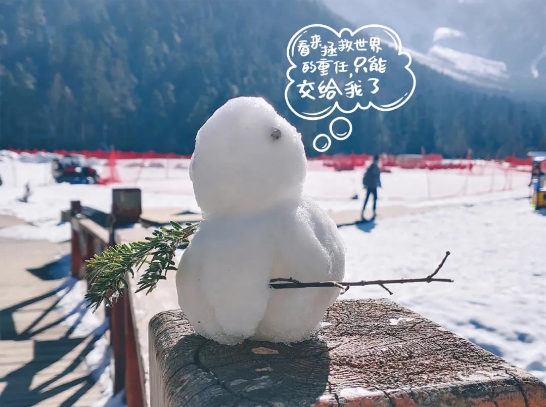 周末已到!来毕棚沟看这些雪山上的"有趣灵魂!