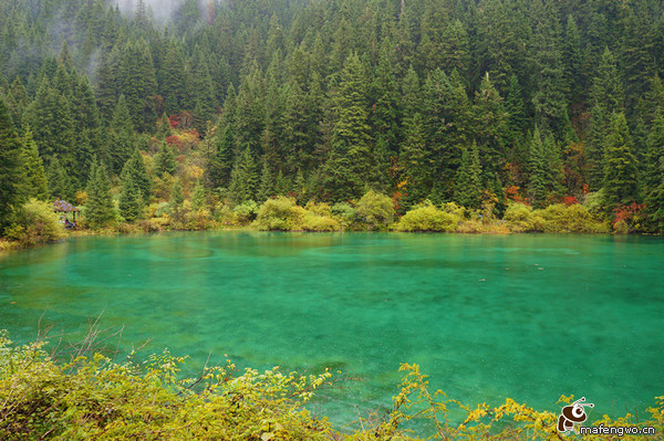 阿坝景点图片