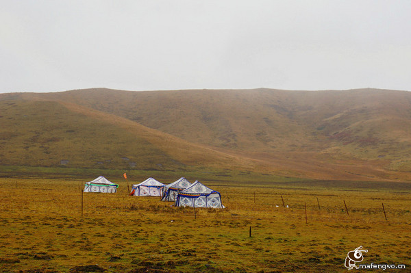 阿坝旅游攻略图片