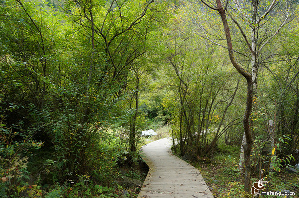 阿坝自助游图片