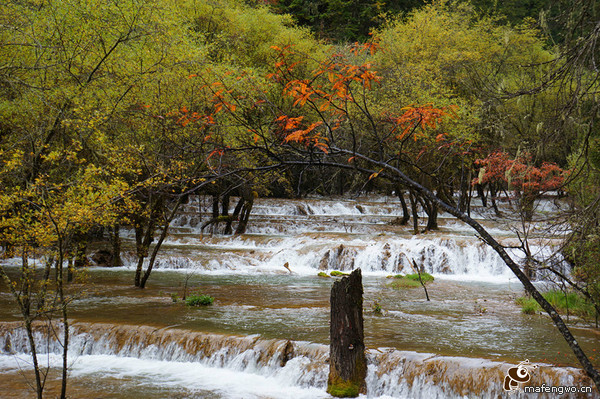 阿坝自助游图片